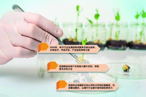 产业前瞻 生物育种商业化提速 种业发展将聚焦四大方面