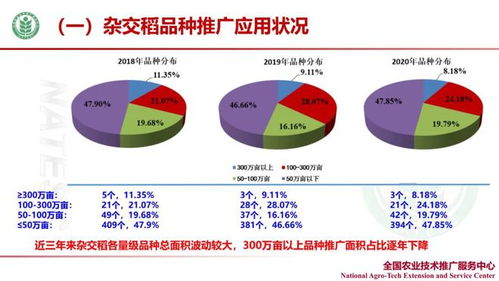足迹与前景 我国杂交稻、小麦、玉米前10大品种变动及生物育种影响（近10年）
